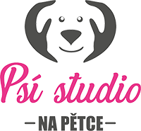 Psístudio